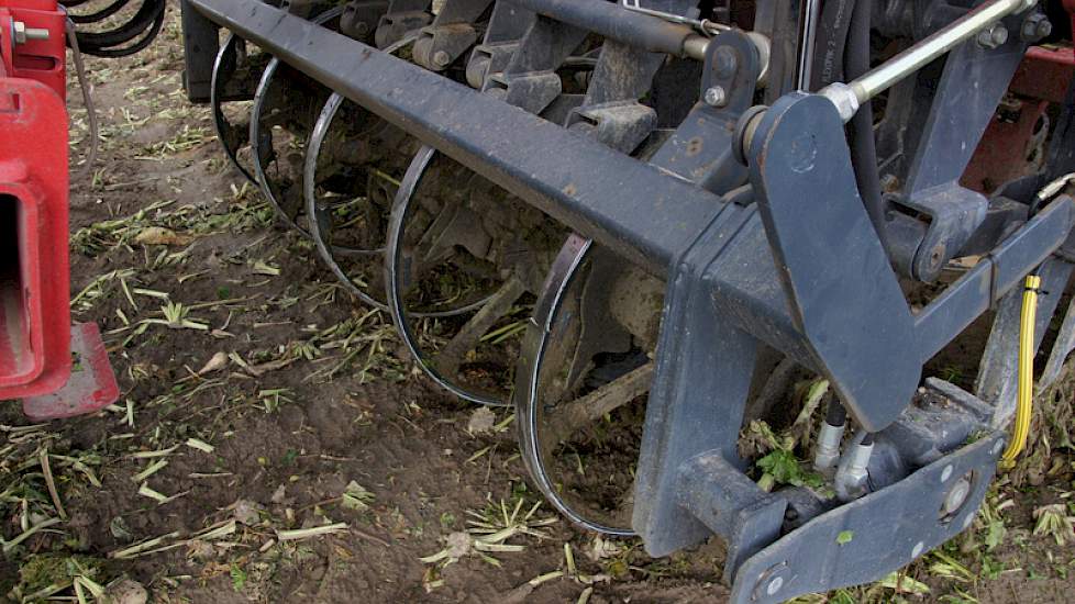 De rooischaren halen alle bieten op die groter dan 4 centimeter zijn.