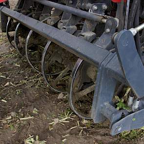 De rooischaren halen alle bieten op die groter dan 4 centimeter zijn.