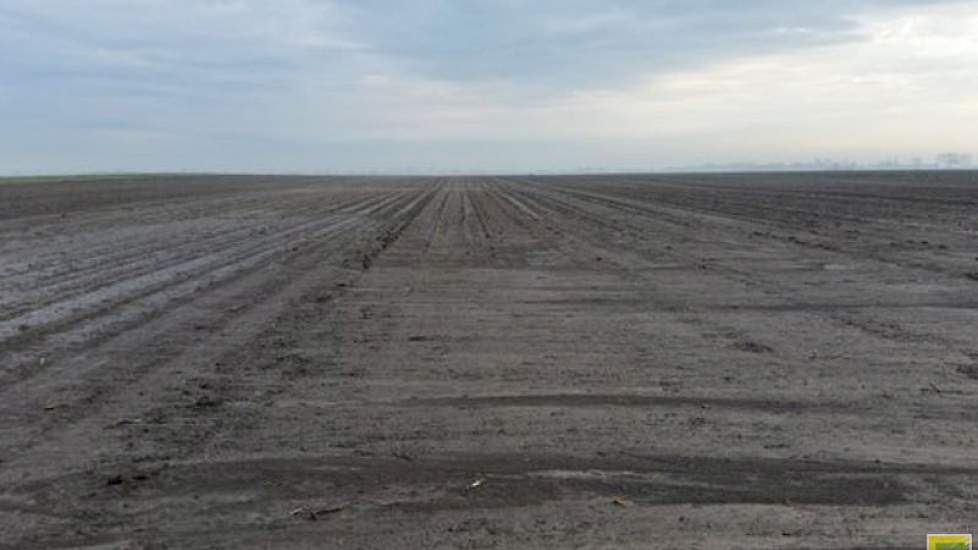 In een tijdsbestek van een uur viel hier ongeveer 28 mm neerslag en hagel. 'Eén dorp verder zijn ze aan het bieten zaaien. Onvoorstelbaar.'