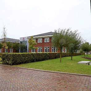 Vorig jaar vierde De Groot & Slot het zestigjarig bestaan. Tegenover het hoofdkantoor (foto) is per 27 september het veredelingscentrum in gebruik.