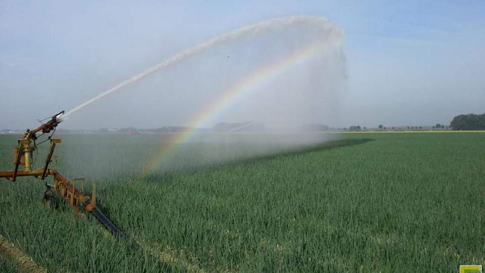 Daar waar mogelijk worden gewassen beregend. Het kan in elk geval de schade beperken.