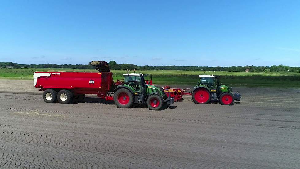 Mooie eerstjaars plantenuien van opdrachtige grond