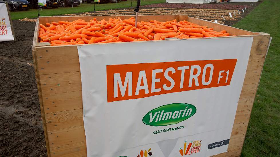 Natuurlijk ook weer peen in allerlei soorten, maten en ook kleuren. Bij Hazera-partner Vilnorin onder meer de Maestro F1, een B-peen geschikt voor zowel de onderdekkersteelt als vlakveldsteelt.