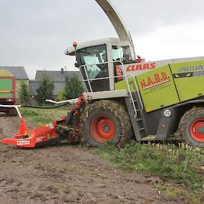 Erik Boom van Habo hakselt hier een perceel van 15 hectare. Het land is van het loonbedrijf en de maïs is gekocht door melkveehouder Anton Pelikaan.