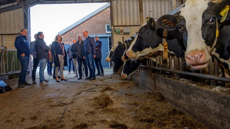 Hoogendijk geeft een rondleiding in zijn stal.