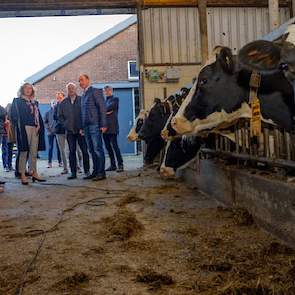 Hoogendijk geeft een rondleiding in zijn stal.