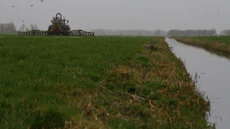 Regen bemoeilijkt mest uitrijden op Texel; 'putten raken voller' - Agraaf