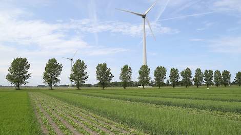 'Strokenteelt maakt beregenen een stuk complexer' - Agraaf