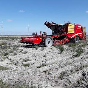 Terwijl op het ene perceel wordt gerooid voor oogst 2019, zijn op een naastgelegen perceel de aardappelen voor oogst 2020 al gepoot. Ook deze aardappelen zijn beregend.