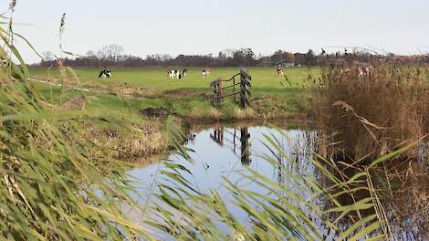 Nationale Omgevingsvisie op landbouwgebieden het Groene Hart en De Peel - Agraaf