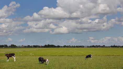 Zuid-Holland wil geen bouwbedrijf op agrarisch perceel - Agraaf