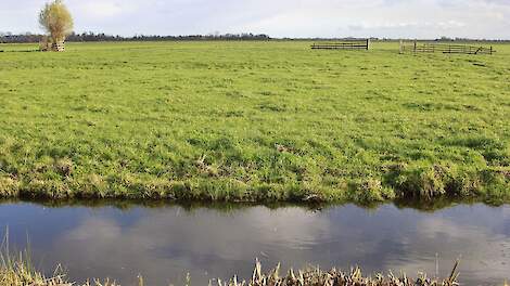 Nieuwkoopse boeren: 'We kunnen nog geen stikstof verleasen en we verkopen ook niet' - Agraaf