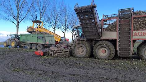 Laatste bieten voor campagne Cosun de grond uit - Agraaf