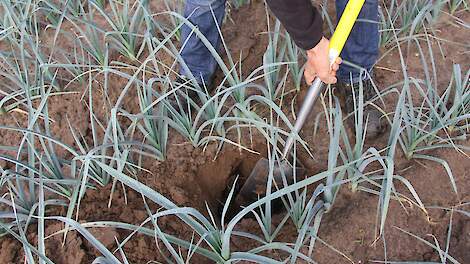 Bodemcolleges voor akkerbouwers en veehouders in Zuid-Holland - Agraaf