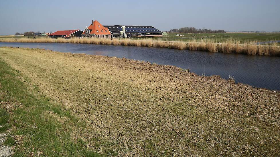 Een boerderij in Eilandspolder.