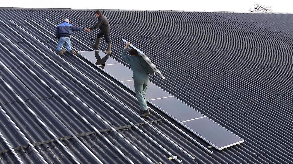 Met de regeling Jonge Landbouwers kunnen boeren tot 41 jaar onder meer subsidie aanvragen voor het plaatsen van zonnepanelen bij de provincie Noord-Holland.