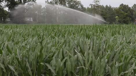 IPO en UvW: Herijking grondwater- en beregeningsbeleid nodig - Agraaf