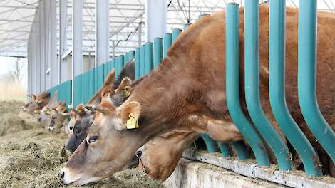 Stelling: De Nederlandse boer zal het steeds meer moeten hebben van creatieve bedrijfsvoering zoals 