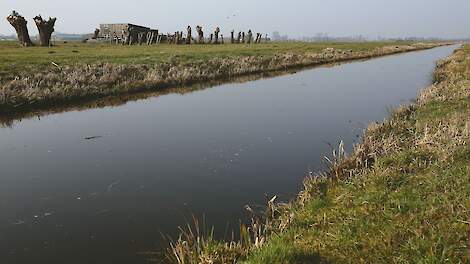 Landbouwsubsidie van 10 miljoen voor boeren in Zuid-Holland - Agraaf
