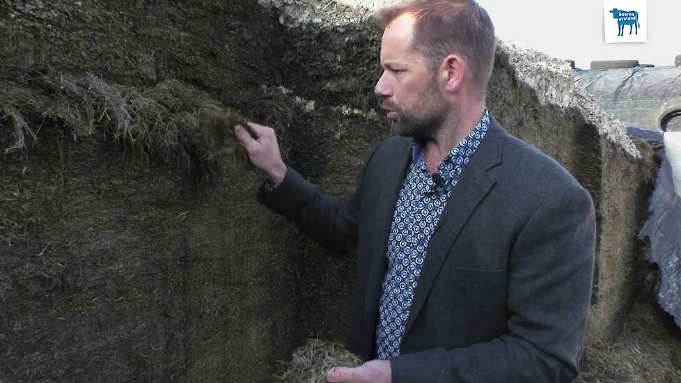 Rantsoen optimalisatie: extensieve melkveebedrijven met 100% grasland
