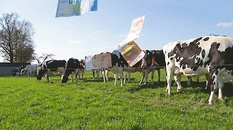 Noord-Holland stelt vier subsidieregelingen voor de landbouw open - Agraaf