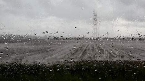 Gemiddeld 25 procent meer regen in de herfst in de kustgebieden - Agraaf