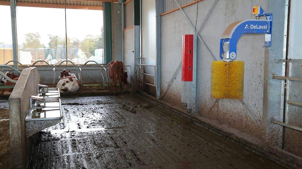 Verspreid over de stal zijn meerdere waterbakken te vinden en ook hangen er op verschillende plekken koeborstels.