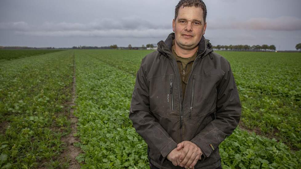 Pieter Maris bij een groenbemester die is gezaaid met behulp van het rijpadensysteem.