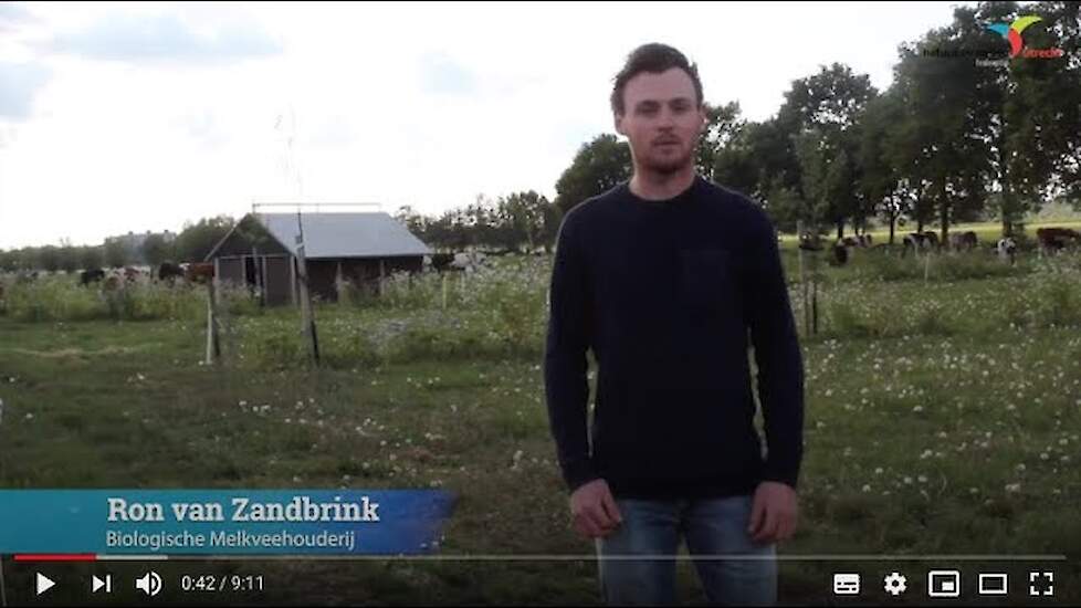 Webinar Voedselbossen / Agroforestry 3: Ron van Zandbrink, boerderij Tussen de Hagen