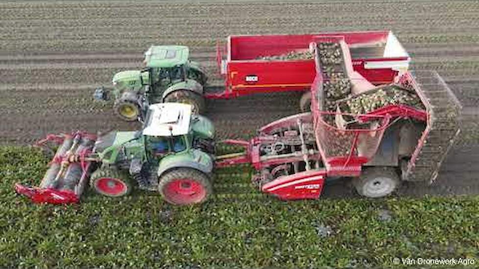 Sugarbeet harvest - Fendt 720 Vario and Grimme Rootster 604 - John Deere 7710 - Dieleman Slootdorp