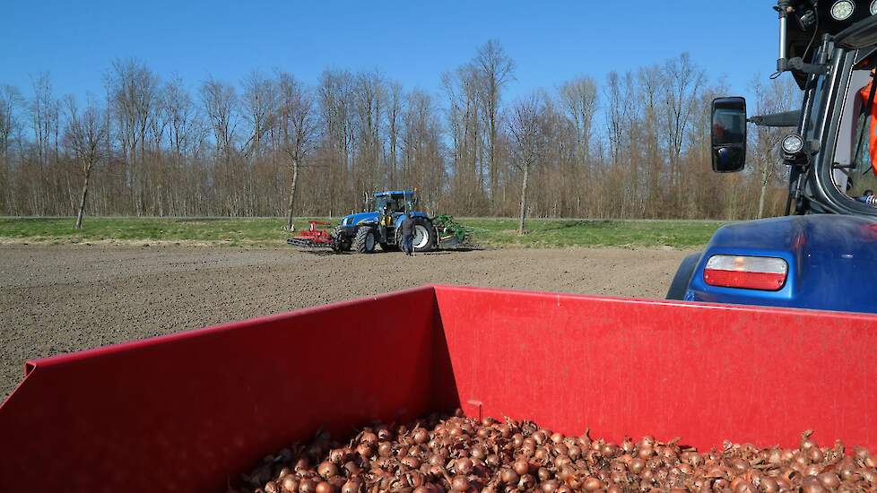 De omstandigheden waren perfect. Lekker zonnetje, niet te droog. Prima weer om de 9,5 hectare bij Lodders te planten.