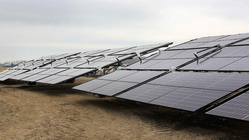 Om goed te renderen wordt gezegd dat de panelen de breedte van het perceel moeten bestrijken, in dit geval zouden, gerekend vanaf het moederbord waar Staghouwer de machine met één druk op de knop in werking zet, 700 panelen volstaan. Dat wil zeggen, dat z