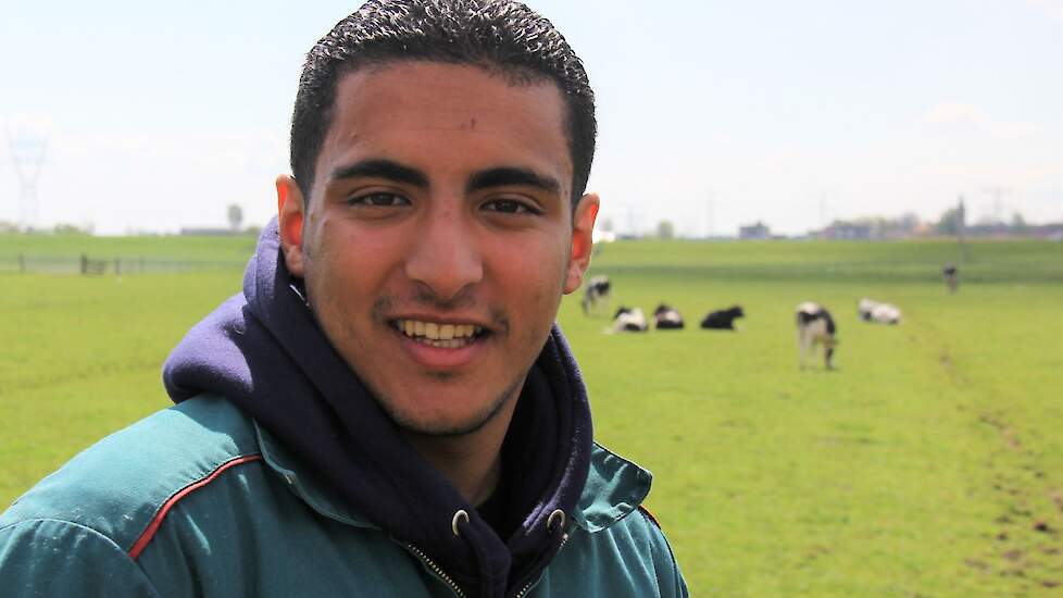 Ayoub lachend op z'n Amsterdams: 'Als ik achter de koeien loop, voel ik echt m'n leiderschapskills man!'