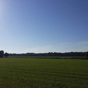 Hier gaat het vandaag gebeuren.