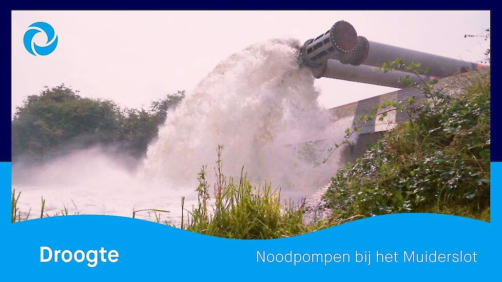 Noodpompen bij Muiden beschermen natuur- en landbouwgebieden tegen droogte