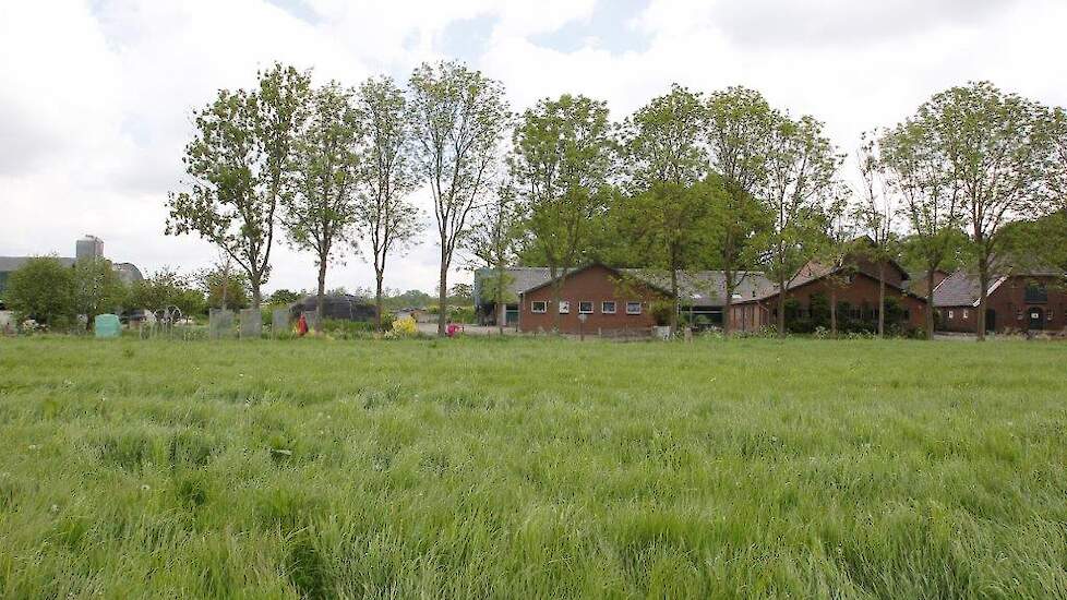 Het bedrijf van familie De Kruijf.