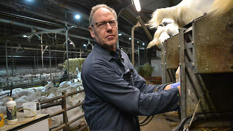 Piet Stolp was directeur bij de Rabobank. Ik 2014 gooide hij het roer om en werd biologische geitenhouder.