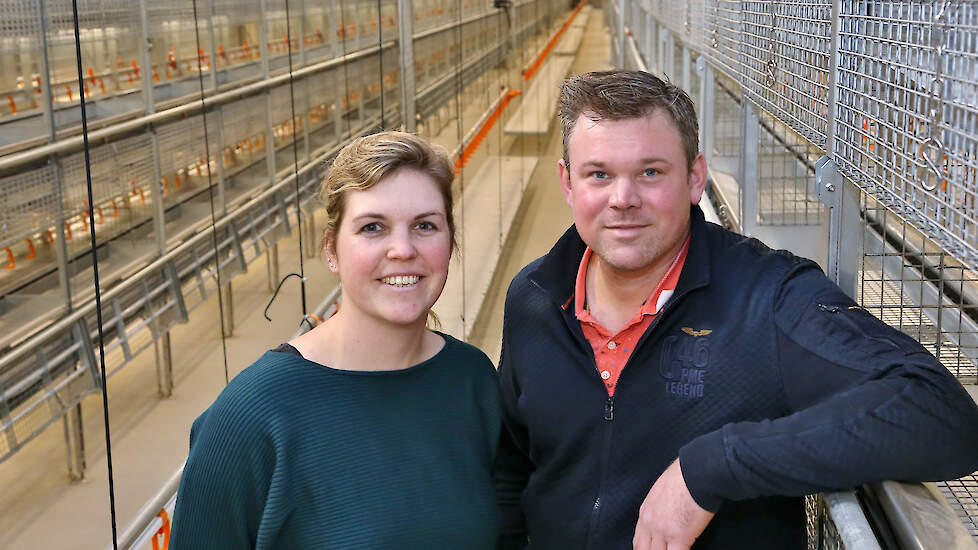 Wilco (41) en zijn vrouw Ilse (37) Wijlhuizen bouwden een nieuwe stal voor 59.900 opfokhennen. Ze kozen voor een volière-opfoksysteem van Big Dutchman.