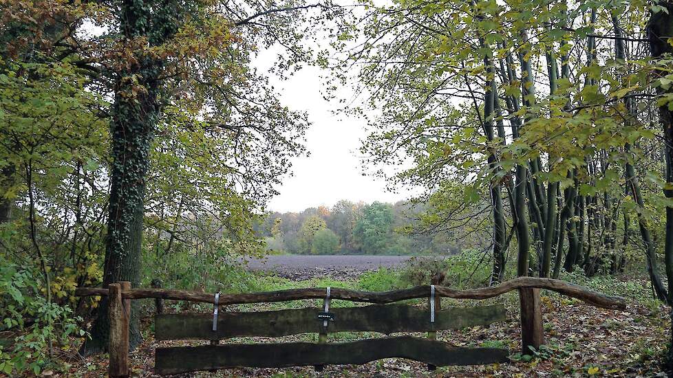 Een willekeurig Natura 2000-gebied.