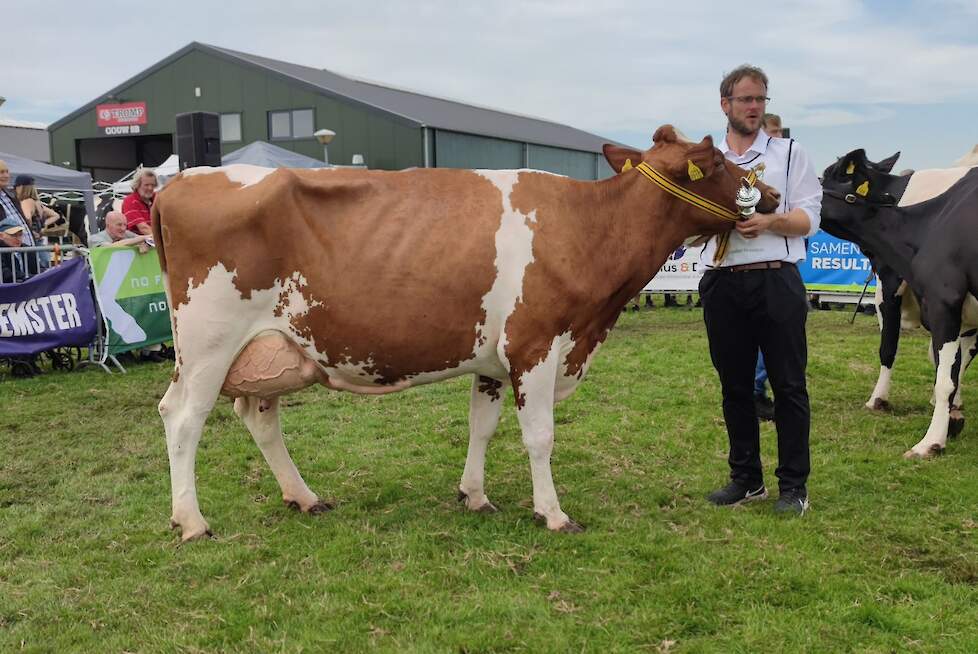 Wilhelmina 524, een roodbonte dochter van de door de veeteeltstudieclub geteste Donald 209, werd verkozen als beste dochter van de dochtergroep, behaalde een 1A-klassering in de rubriek en legde beslag op het reservekampioenschap van de middenklasse.