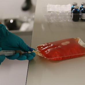 Het vaccin wordt klaargemaakt voor gebruik.