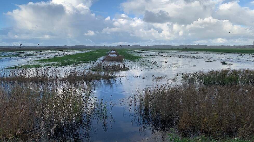 Waterberging Vliegveld Bergen in werking om het water op te vangen.