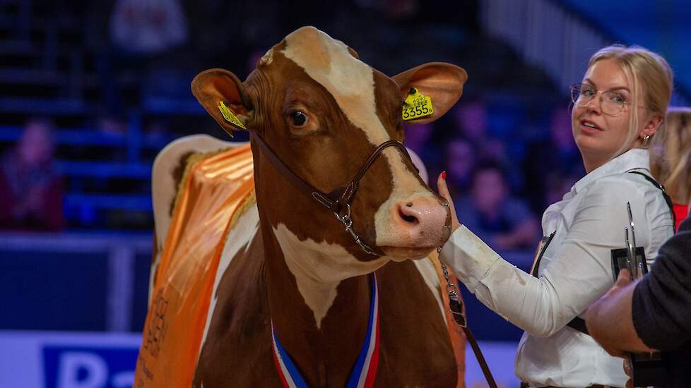 Twente Dairies Incredibull Mel pakte het algemeen kampioenschap bij de roodbonten op de HHH-show.
