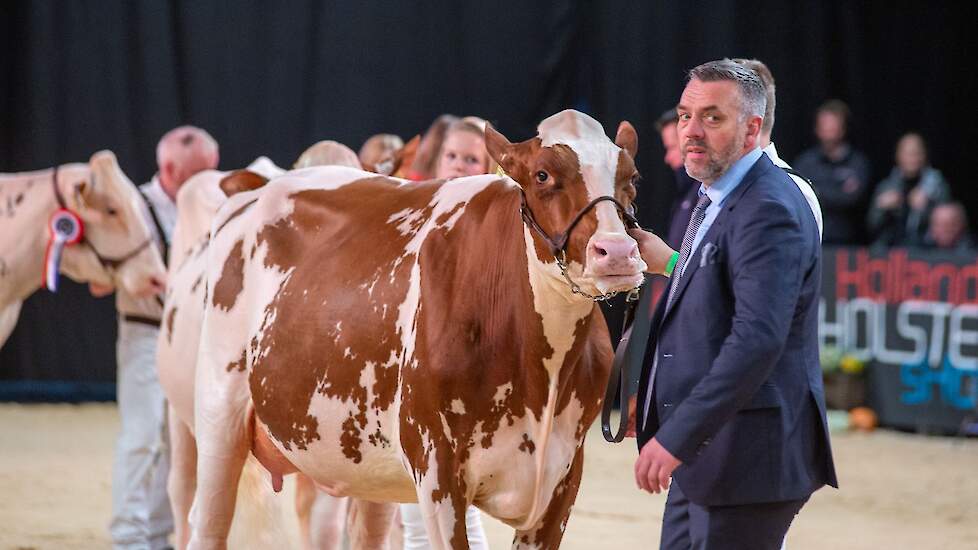 De eervolle vermelding ging naar Heerenbrink Dolly Olymp Rae 2.