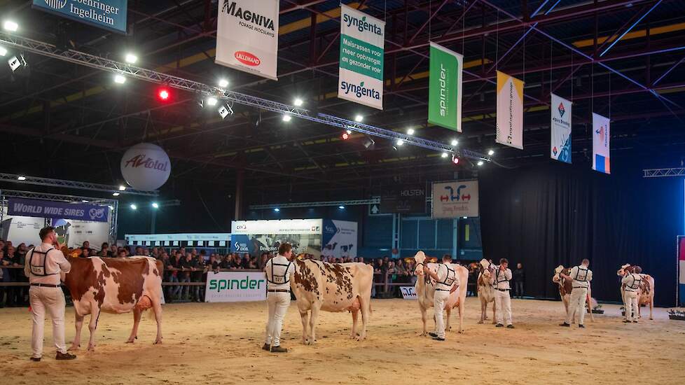 De line-up in de roodbonte seniorenfinale was adembenemend met het kop duo uit de eerste rubriek, het kop trio uit de tweede rubriek en Irma 68 uit de productieklasse. Niemeijers Johanna 39 werd reservekampioene achter Irma 68, de eervolle vermelding was