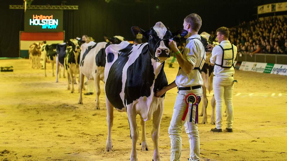 Deze foto toont de fijnheid en vrouwelijkheid van Pietje 1303.