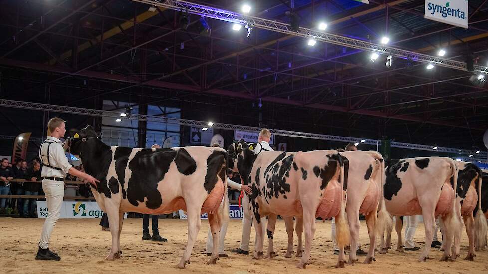 De 1B-positie werd gepakt door Topcross Jaan 670 van de familie Jacobi uit Garyp, een sterke, lange Doorman-dochter met een best uier. Op de derde plek kwam Dynamic Elza 1 van Hoftijzer Holsteins en Molenkamp Holsteins uit Zwartewaal. De mooitypische Arti