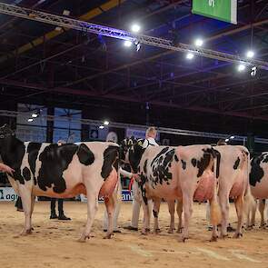 De 1B-positie werd gepakt door Topcross Jaan 670 van de familie Jacobi uit Garyp, een sterke, lange Doorman-dochter met een best uier. Op de derde plek kwam Dynamic Elza 1 van Hoftijzer Holsteins en Molenkamp Holsteins uit Zwartewaal. De mooitypische Arti