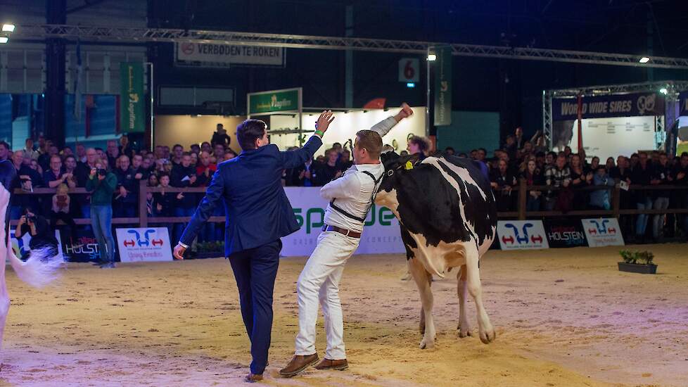 Heerenbrink Angelina werd aangewezen als kampioene van de middenklasse.