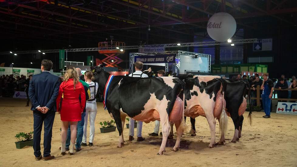 De seniorentitel ging naar Topcross Janice 1. Reservekampioene werd Bons-Holsteins Roza 76 en de eervolle vermelding was voor Remonte 60.